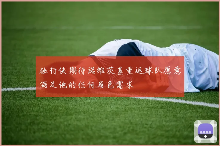 独行侠期待诺维茨基重返球队愿意满足他的任何角色需求