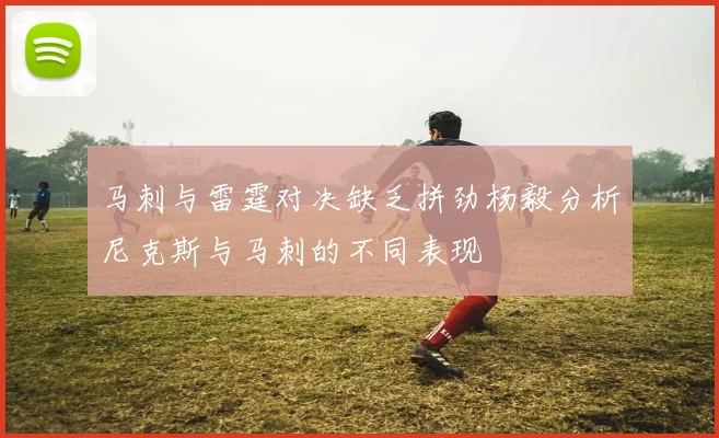 马刺与雷霆对决缺乏拼劲杨毅分析尼克斯与马刺的不同表现